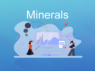 Dicalcium Phosphate Inquiries Remain Active, Sodium Bicarbonate Prices Hold Steady, While Whey Powder Edges Down