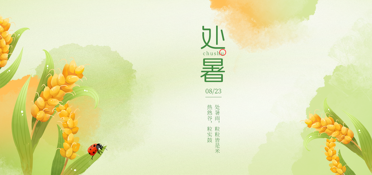 26处暑